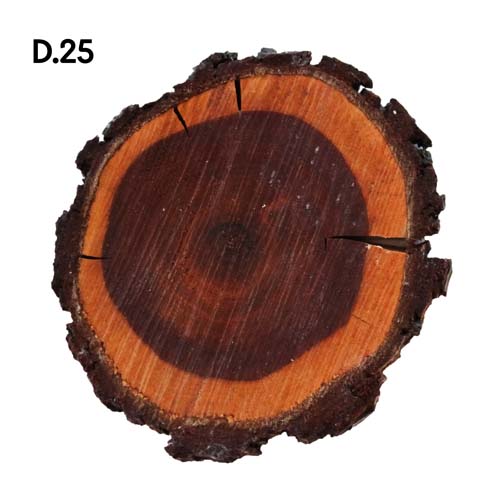 Dřevo_motiv25.jpg Dřevo_motiv25.jpg